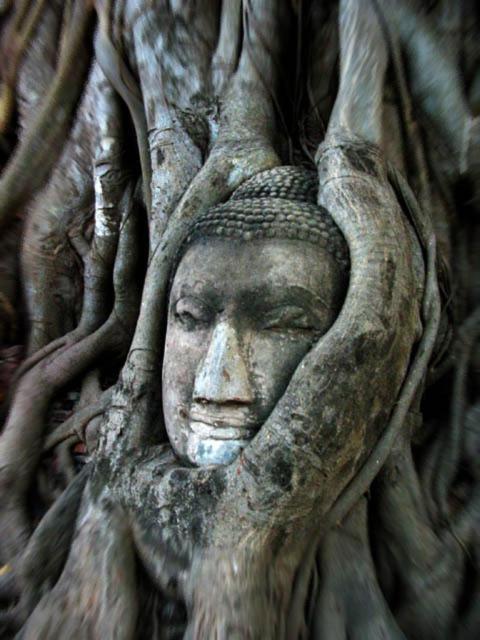 Somjai Place Ayutthaya Exterior photo